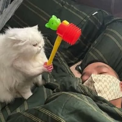 bornt0beloved's profile picture. lemme plant a lound besito on ur cheeks ⠀ ⠀⠀ ⠀ ⠀ ⠀⠀⠀ ⠀ ⠀ ⠀ ⠀ ⠀ ⠀ ⠀ ⠀ ⠀ ⠀ ⠀ ⠀ ⠀ ⠀ ⠀ ⠀ ⠀ ⠀ ⠀ ⠀ ⠀