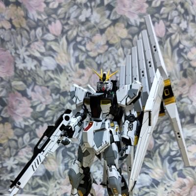 宇宙戦艦ヤマトプラモとガンプラを作っています。閃きとネタが無いとヤマトプラモの改造ができない。
馬券は買いませんが馬は観ますしウマ娘はチャレンジ中