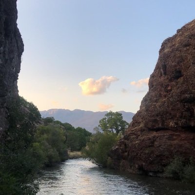 asminkoo's profile picture. azadi&anarchy