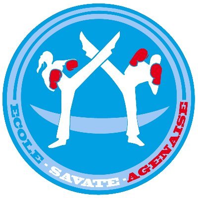 Le seul club du Lot et Garonne à proposer 3 disciplines : la Savate Boxe Française, la Savate Défense et la Canne de Combat.