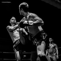 teddy kavanagh (@teddykavanagh) 's Twitter Profile