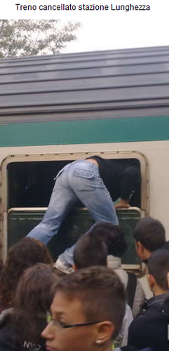 RomeSurvivor's profile picture. Daily #Metro A-B user. 
Tweet & ReTweet su mobilità romana e non solo. 
#pendolarilazio