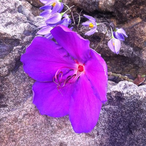 leiwang6768's profile picture. 