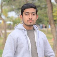 Nouman Sajjad(@Nouman1917) 's Twitter Profile Photo