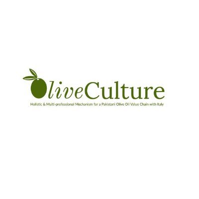 OliveCulture1 Profile Picture