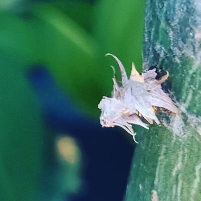 fujioka_aiko's profile picture. 