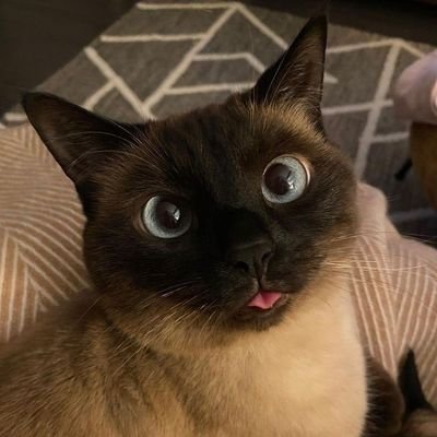 DiraZuraida's profile picture. 