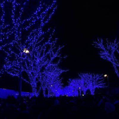 srs31526002's profile picture. ae