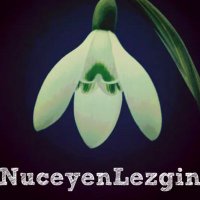 Nûçeyên Lezgîn (@nuceynlezgn) 's Twitter Profile