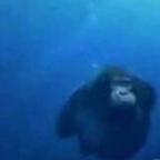 grimmer198's profile picture. 