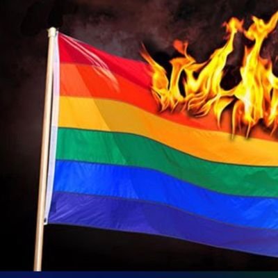 DanielN53641840's profile picture. I am an ati LGBTQ