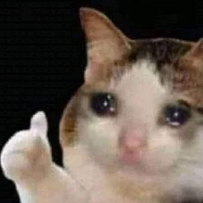 jian2511's profile picture. simp yk,uz,ty,oik,meg,pn