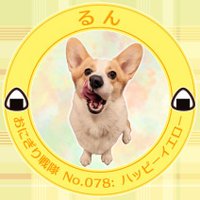 るんちゃん(@CorgiRunn) 's Twitter Profile Photo