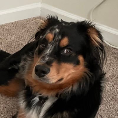 michpasquale's profile picture. KM 💙