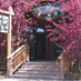 Taylor Creek FlyShop (@tcreekflyshop) Twitter profile photo