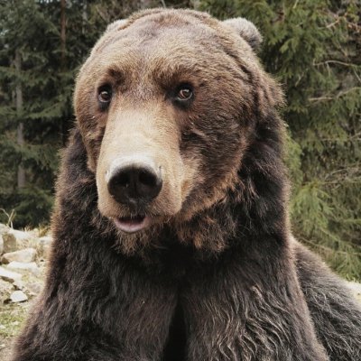 yepington's profile picture. 