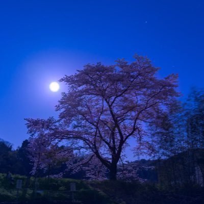 yz_1025_wa_yyms's profile picture. ゆずっこ / 03line / 真ん中っこ / 低浮上ですが仲良くしてください！ 無言フォロー失礼します🙇‍♀️ | 山田裕貴 / 間宮祥太朗 / WEST. / Aぇ! group