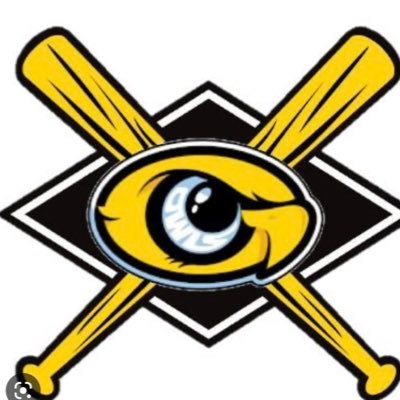 owlsoftball's profile picture. 06-07 Back to Back State Champs #ChooseTheOriginal🖤💛