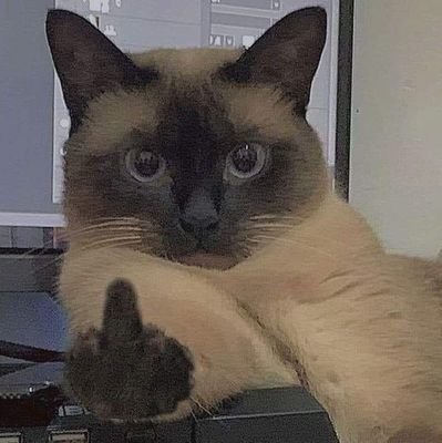 ericxore's profile picture. im having a proper full on gay crisis