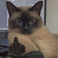 neo (@ericxore) 's Twitter Profile
