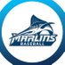 VWU Marlins Baseball (@vwu_bsb) Twitter profile photo