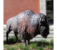 Linda Sokol Francis Brookfield Library (@brookfieldpl) Twitter profile photo Linda Sokol Francis Brookfield Library (@brookfieldpl) Twitter profile photo