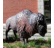 BrookfieldPL's avatar