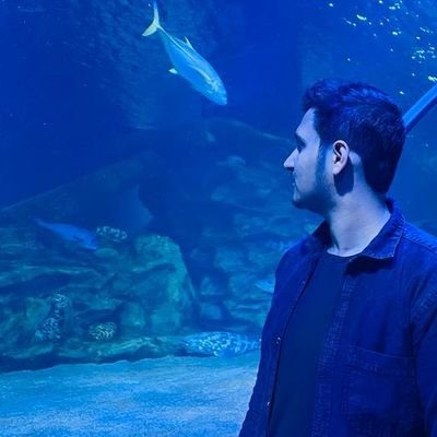 ZiyadShams's profile picture. ⚡