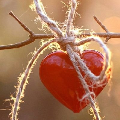 GLORIAM52221439's profile picture. 