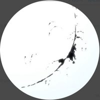 表情筋 (@sashimt_) 's Twitter Profile