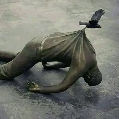 ShivamJ61707110's profile picture. student