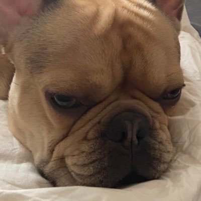 barbaaalex's profile picture. between two tweets