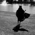 🦋A_Sotho-Hun🦋 (@sheiski30208524) Twitter profile photo 🦋A_Sotho-Hun🦋 (@sheiski30208524) Twitter profile photo