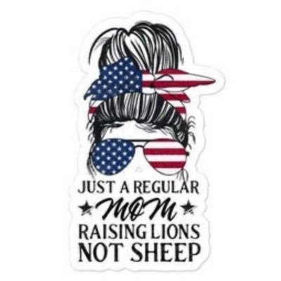 Child Advocate ❤️‍🩹 Mom & Wife ❤️ Proud American 🇺🇸 Very sarcastic! RTs are not endorsements. #SchoolChoice #TermLimits #HardWorkMatters