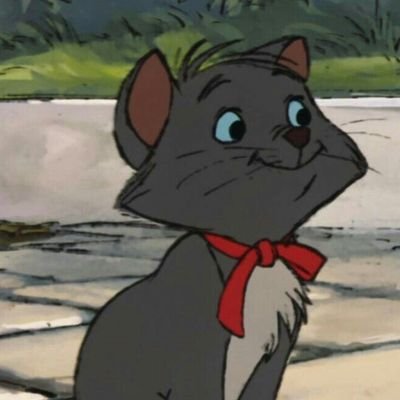 24 | studytwt | booktt | collegetwt • universitário