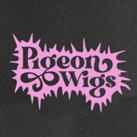 Pigeon Wigs(@pigeonwigsband) 's Twitter Profileg