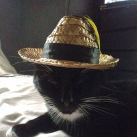 Karen Knight (@karenkn37420149) 's Twitter Profile Photo Karen Knight (@karenkn37420149) 's Twitter Profile Photo