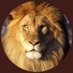 عائشة الخليفي🇶🇦 (@aishaalkhulaifi) Twitter profile photo عائشة الخليفي🇶🇦 (@aishaalkhulaifi) Twitter profile photo