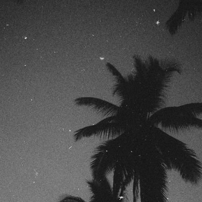 SirShells's profile picture. 