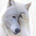 lovelydr@hotmail.com (@hipokratdr) Twitter profile photo lovelydr@hotmail.com (@hipokratdr) Twitter profile photo