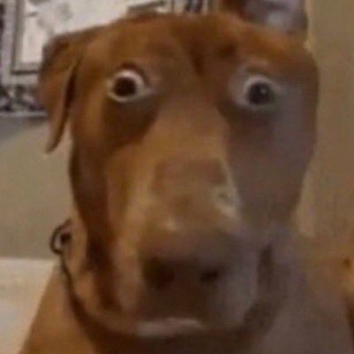 Joao_Void's profile picture. 