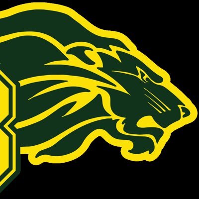 Borah Sports Medicine is dedicated to providing the medical services to our athlete's & giving students 1st hand experience in athletic training!
