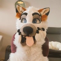 RandomArcticFox ๐ฎ๐ธ (@arctic_random) 's Twitter Profile