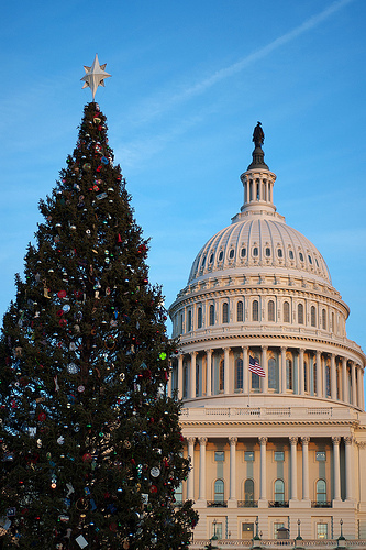 DCDailies's profile picture. Get the latest deals in the DC area with half off specials, amazing daily deals, and the best coupon codes