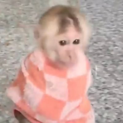 raansen's profile picture. tambien subo cosas de mis amigos seguir bajo tus propios terminos