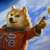 DogelaX (@dogelax) Twitter profile photo DogelaX (@dogelax) Twitter profile photo