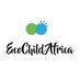 ECOCHILD AFRICA (@Ecochild_Africa) Twitter profile photo