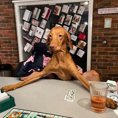 JDVRyan's profile picture. Anaesthetist, Intensivist and DME @southtees Interest in periop, upper GI & Med Ed. Cyclist. Rugby, cricket and footy fan. Glass half full. Personal views.