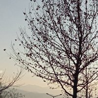 Ff Dgyfguut (@46deniznur) 's Twitter Profile