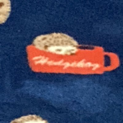 poWVEGi4MeLGvs6's profile picture. 猫好き🐈‍⬛